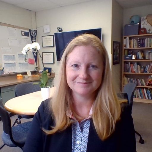 Director Advanced Learning @TheBSD405, Executive Secretary @WSCSS, #MIEExpert