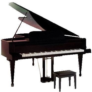 mujikapiano's profile picture. シングルで5人の子を育ててます。DVから裁判離婚。介護福祉士、介護支援専門員