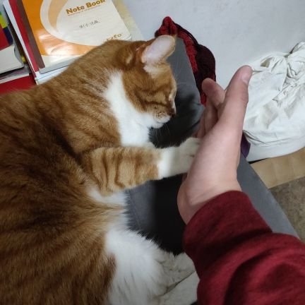 MelokuSong's profile picture. 