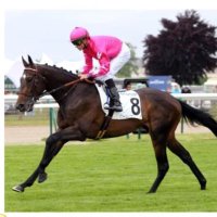Haras de Clairefontaine (@hclairefontaine) 's Twitter Profile