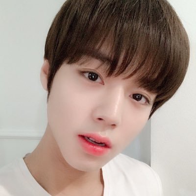 only for PARKJIHOON 19990529🔍박지훈연구소🔬 ❌logo crop/2nd edit/commerce❌