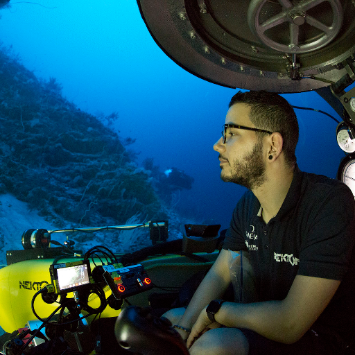 Ph.D. | Biodiversity Consultant @TBCbiodiversity | Research Associate @UniofOxford @morethanadodo & @nektonmission https://t.co/vKZkaY5Hz0