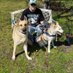 Dale Foreman (@dragondcf54) Twitter profile photo Dale Foreman (@dragondcf54) Twitter profile photo