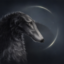 Lucy Sommer - @noctilucy - Twitter