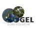 Global Ecology Lab (@UMD_GEL) Twitter profile photo