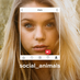 Social Animals (@_social_animals) Twitter profile photo Social Animals (@_social_animals) Twitter profile photo
