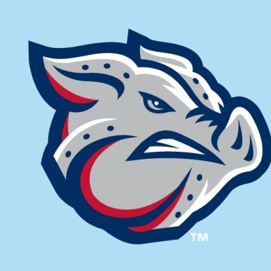 ShopIronPigs Profile Picture