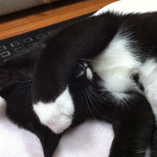 rja1782's profile picture. 