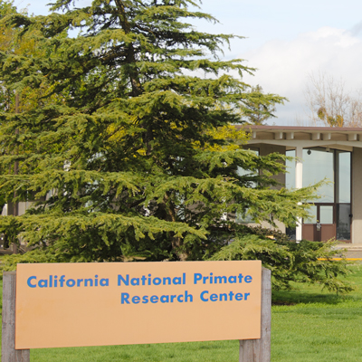 The mission of the CNPRC at UC Davis is to improve human health and quality of life through support of exceptional nonhuman primate research programs.