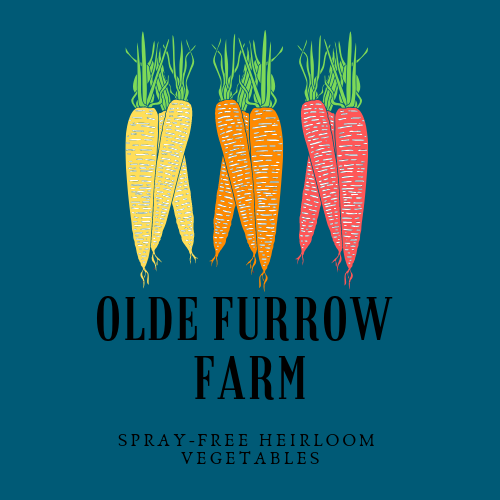 Olde Furrow Farm