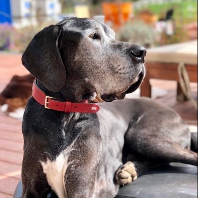 GebauerMaren's profile picture. 