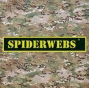 Spiderwebs_'s profile picture. 