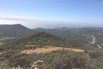 pedro01696796's profile picture. Tampm