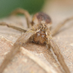Lucien Harris (@lucienwildlife) Twitter profile photo Lucien Harris (@lucienwildlife) Twitter profile photo