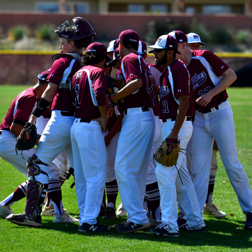 D6 CIF-SS Baseball Team; Desert Empire League Member; CIF Playoffs 2016, 2017, 2022, and 2024; 2017 undefeated De Anza League Champion