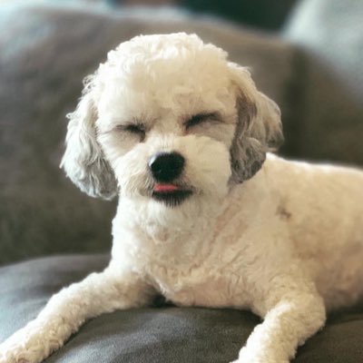 Hi I'm Ted. My Dad is Sanders Kennedy