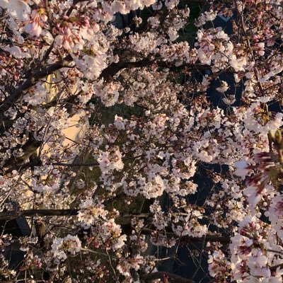 初めまして!趣味はスポーツ全般、特に野球、ボクシング、陸上中心にです。休日には海辺のドライブする車好きです。どうぞ宜しく!