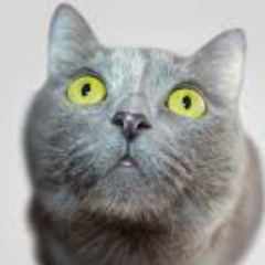 PedroSa36284980's profile picture. Hi. I am a guy who really enjoy play CryptoKitties. Come play with me. 

Here's my account number: 0xC2F57E2960d99413a3C689875409D5bfe41622d8