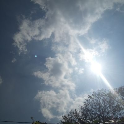 LiFeWithTHYGOD's profile picture. 