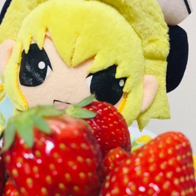 pypypanda's profile picture. 写真を撮ります🌸色々色々撮りますがレッサーパンダが1番好きです