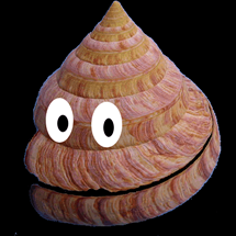 hiroweno's profile picture. 歩くA級劣後債