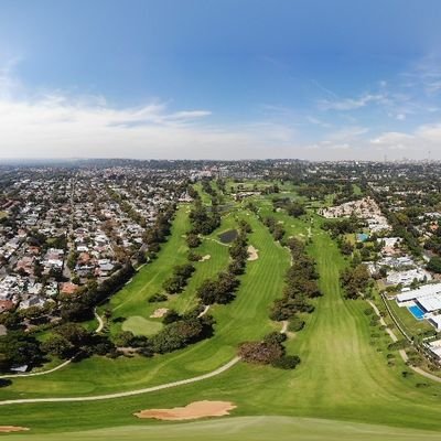 dronegolf's profile picture. 
