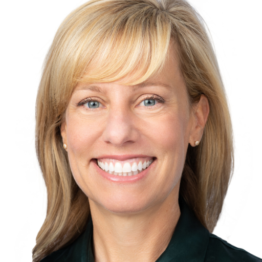 CEO of AEI Consultants, an international environmental and engineering due diligence firm.