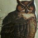 Michele Rush - @mlr101 - Twitter