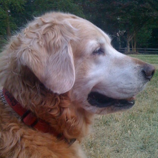 BaxterHungry's profile picture. 