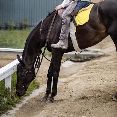 Horse trainer based at Santa Anita Park, California.