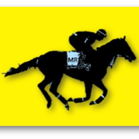 Martin Racing (@martinracing_us) 's Twitter Profile