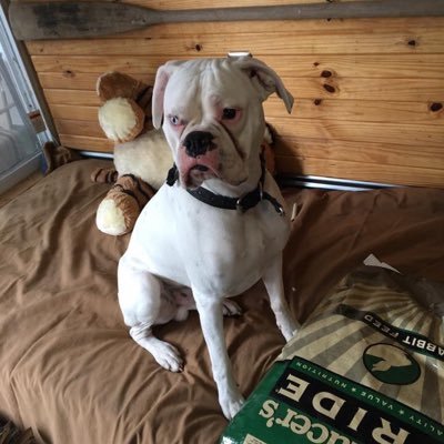 KatieCu80351089's profile picture. country life, fishing, boat riding, enjoying Mother Nature.