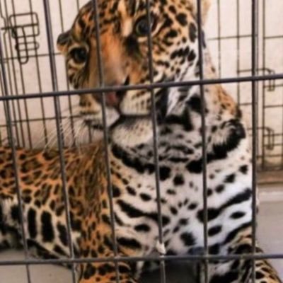 Una vez iba a mi casa y choque por la cantera