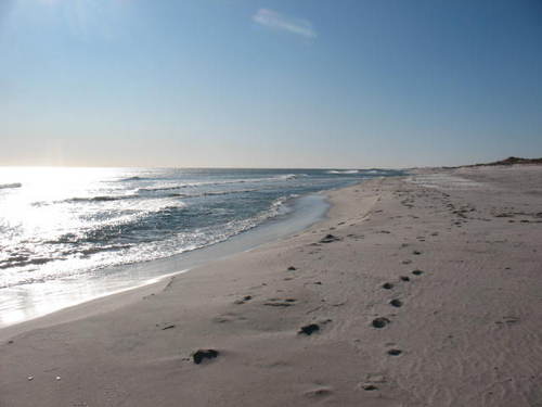 hamptonsNYC's profile picture. city life to resort vacation