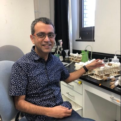 Asst. Prof @AshokaUniv, Ex:  @WUSTLneurosci sleep scientist| Lover of things that love dew 🙂 Opinions my own. He/him
Mastodon: @melnattur@drosophila.social