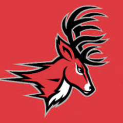 Fairfield Grad. Stags basketball die hard fan. Want our athletic teams to bring the school to national prominence. Follow me as it happens.