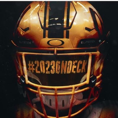 CameronMosley20's profile picture. Class of 2023
Klein oak panther 
#ALL IN 
#74