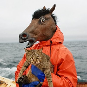 BlockOfBrock's profile picture. 📷 @coreyfishes