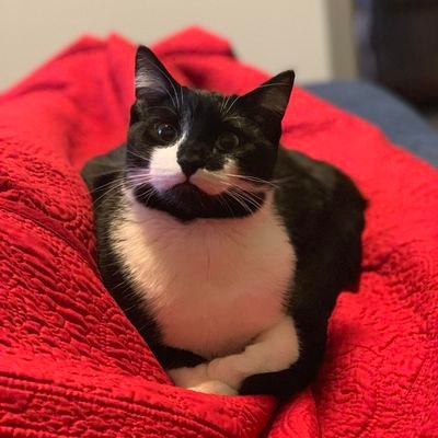 JRoLin6's profile picture. 2nd year GINOS student