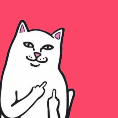 IndevMHRN's profile picture. IG: Maharaniintanv