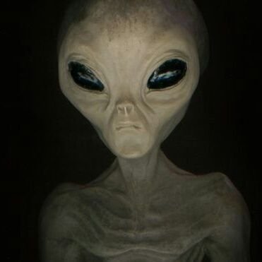 GercsPter's profile picture. beschte Märecher ëmmer richteg brauchen.