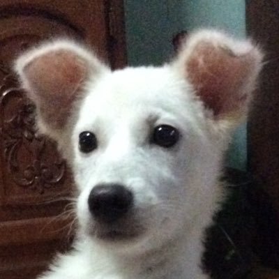 tarosuke2253's profile picture. ほぼ荒野用垢です(ง˘ω˘)ว