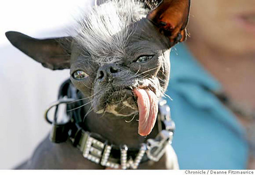 IndexingAtlanta's profile picture. Getting you on the first page of all search engines.