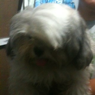 mchlnyn's profile picture. Eric. Mike. Team. We work behind the scenes that make entrepreneur's business better and healthier.