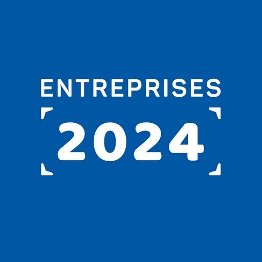 Entreprises 2024 Profile