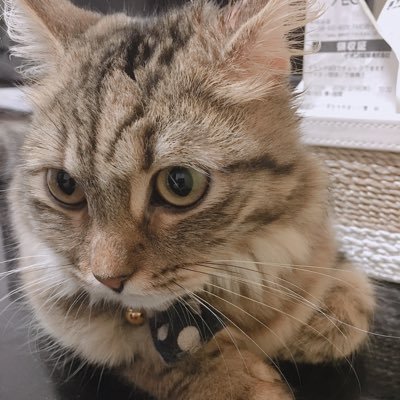 ゆうきさんのプロフィール画像