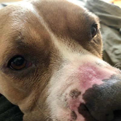 MacBrien's profile picture. Find me at https://t.co/PclWHJow7r