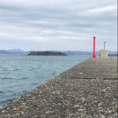 TRR1999's profile picture. 地元は浜松の東京大学生