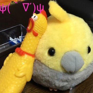 hakumai_07's profile picture. TUT