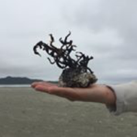 Conor Mc Donnell (@conorpunchbook) 's Twitter Profile